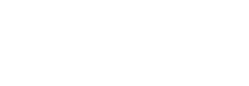 logo de website