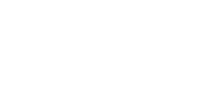 logo de website